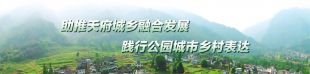 金莎国际网站官网乡村发展集团